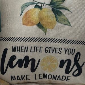 Decorative Lemon Pillow Sweet Lemon Design New Final Sale